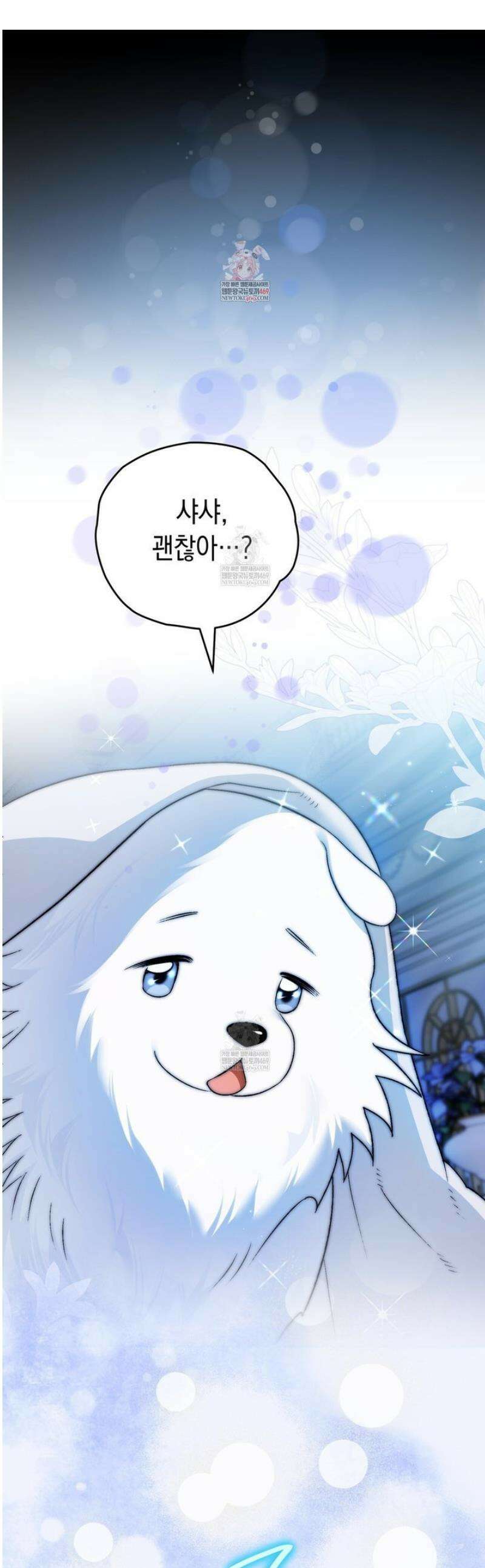 사랑하는 나의 늑대에게 13화 1