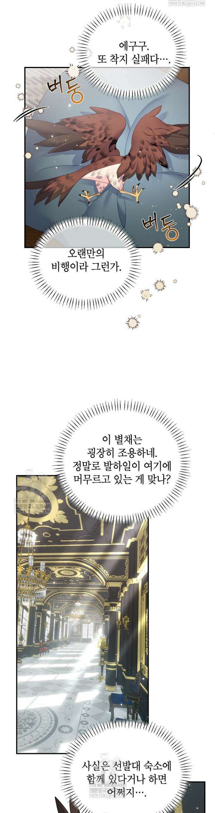 전령새 왕녀님 145화 7