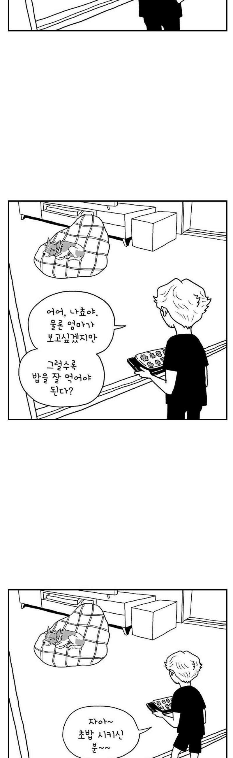 펫로스클럽 ＃9． 나쵸는 열세 살 10
