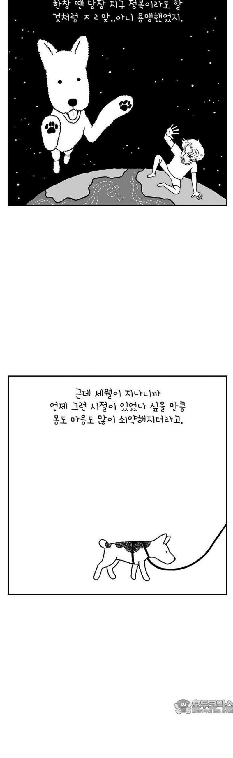 펫로스클럽 ＃9． 나쵸는 열세 살 19