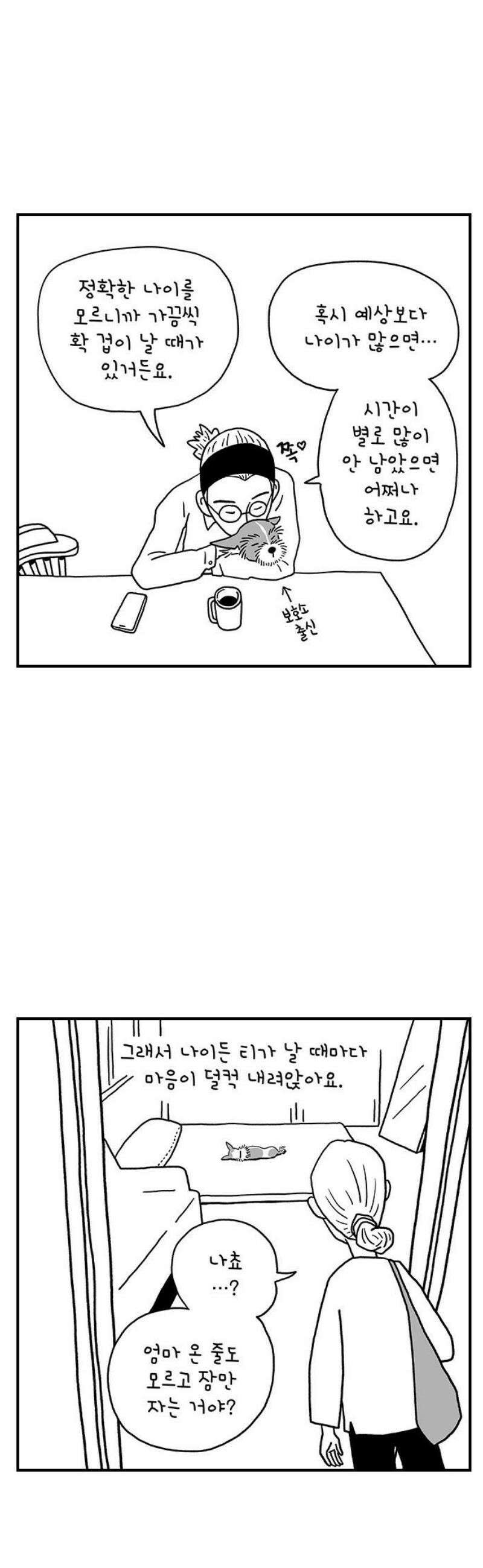 펫로스클럽 ＃9． 나쵸는 열세 살 25
