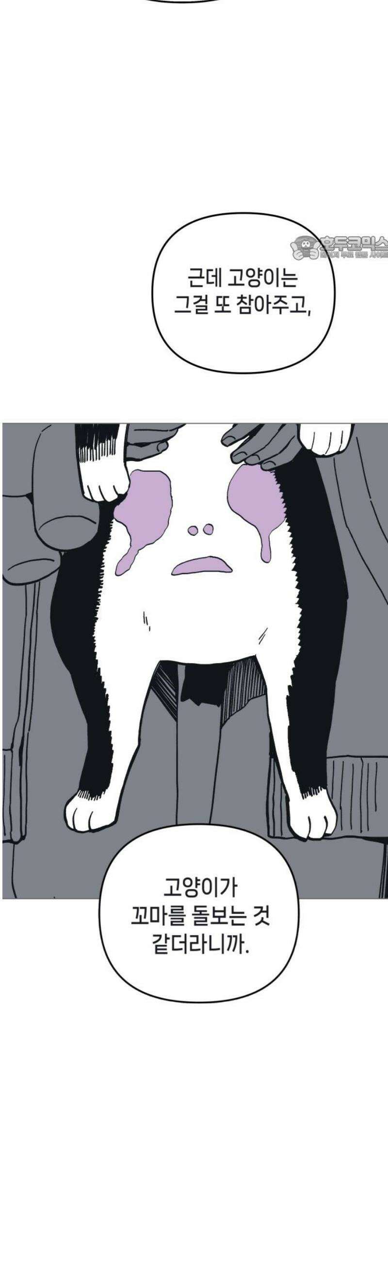 비터사이드 크렌베리스 ＃ 014． 억제제와 고양이(완) 39