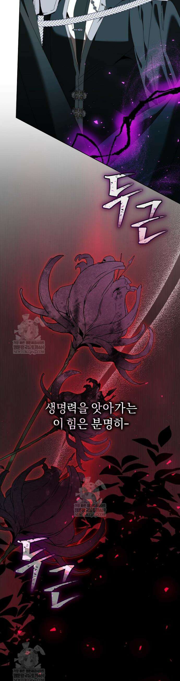흑막 남주의 시한부 유모입니다 97화 11