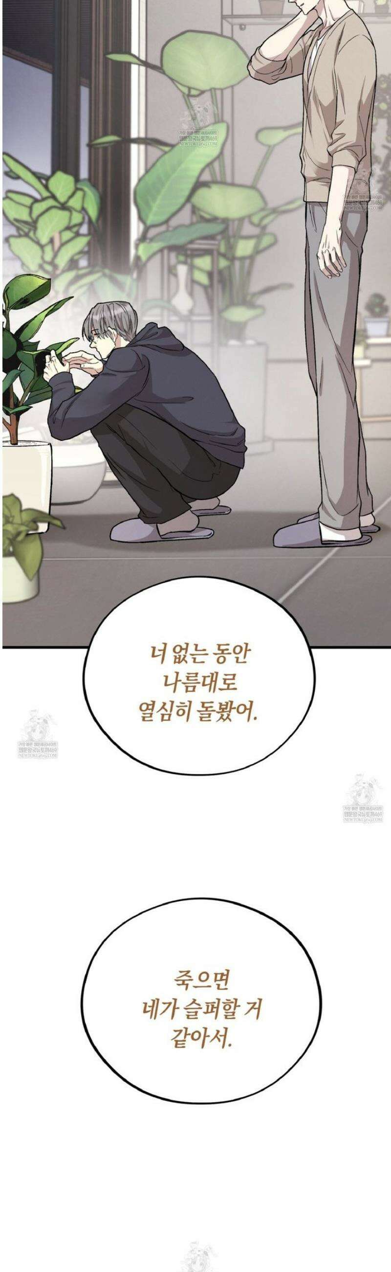 허니베어 80화 11