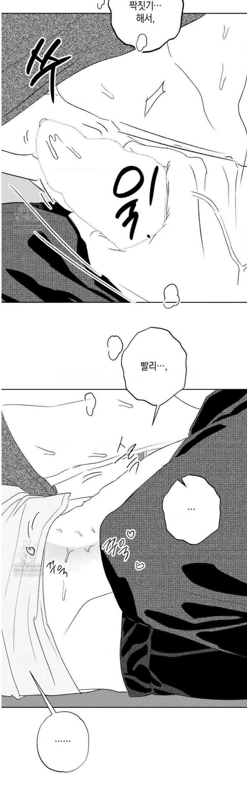 그놈은 공이었다 특별편 호비옥담 5화 5