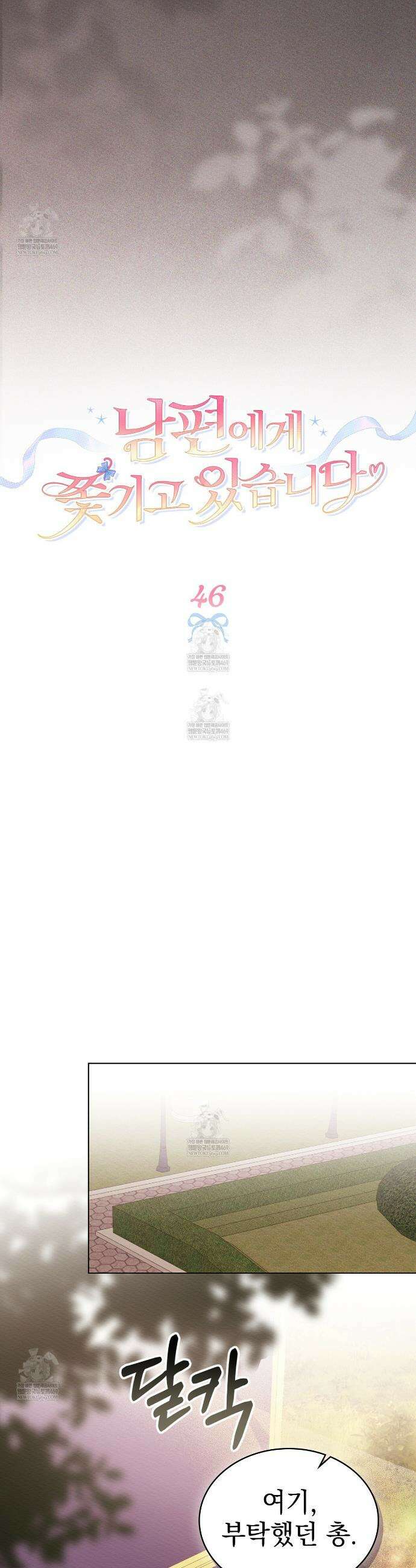 남편에게 쫓기고 있습니다 46화 9