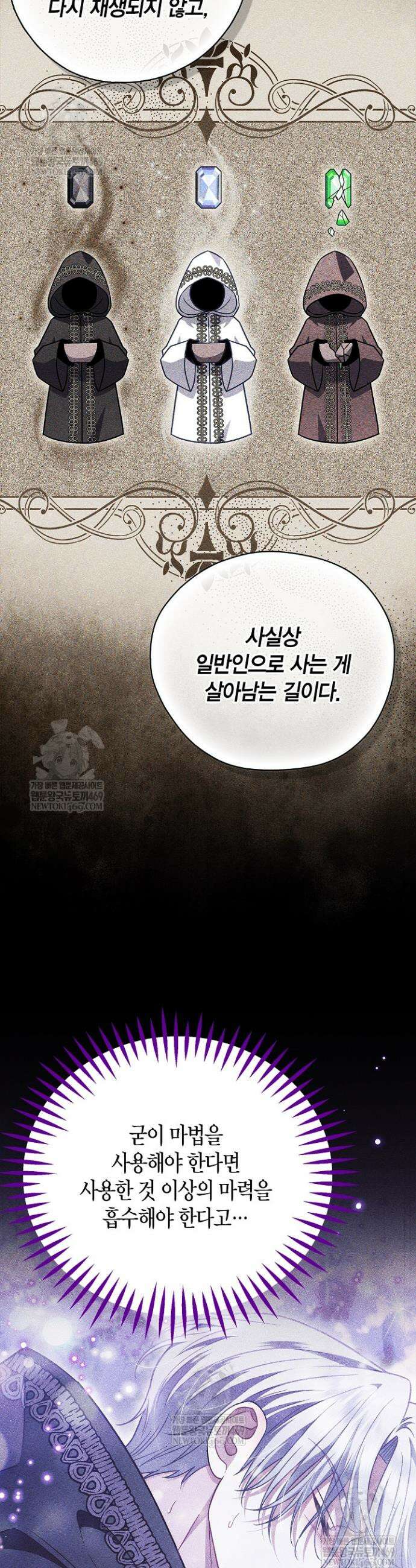 흑막의 독 감별사가 되겠습니다 93화 28