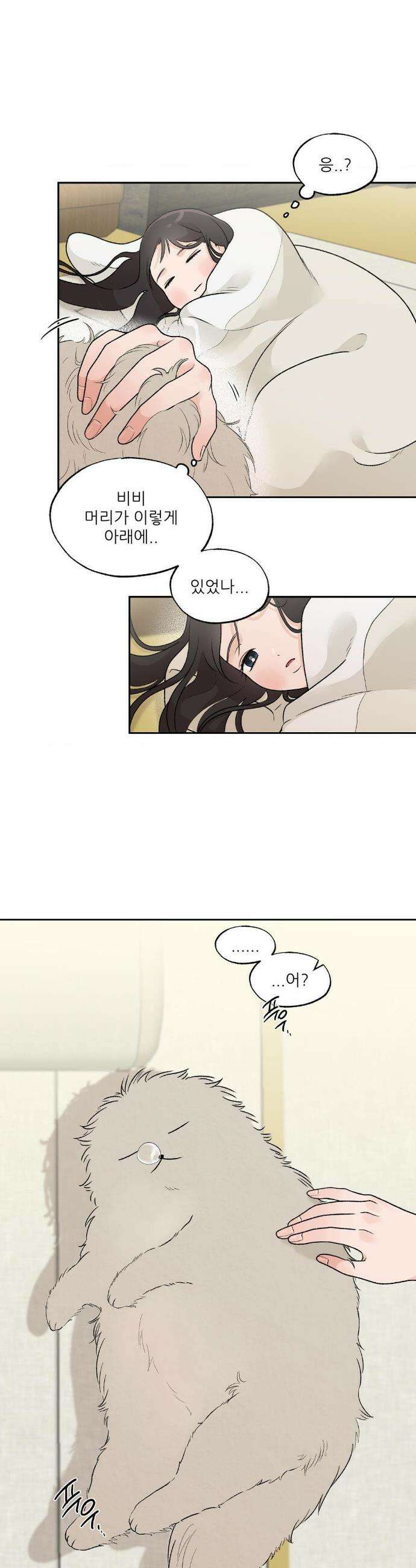비비새 37화 2