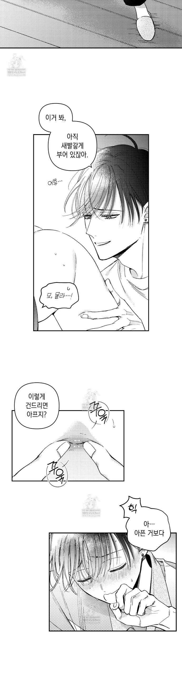 바다 밑 산호 속에는 47화 3