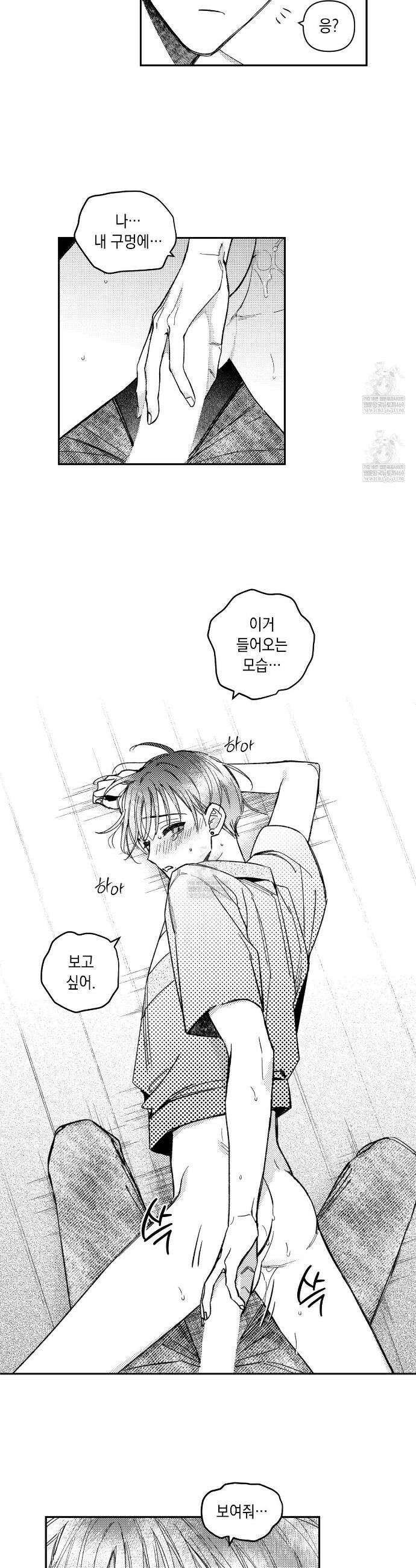 바다 밑 산호 속에는 47화 22