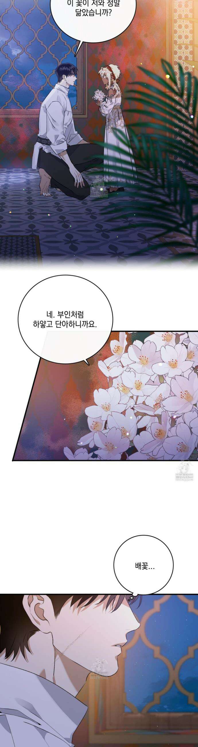 백야의 꽃길 2화 33