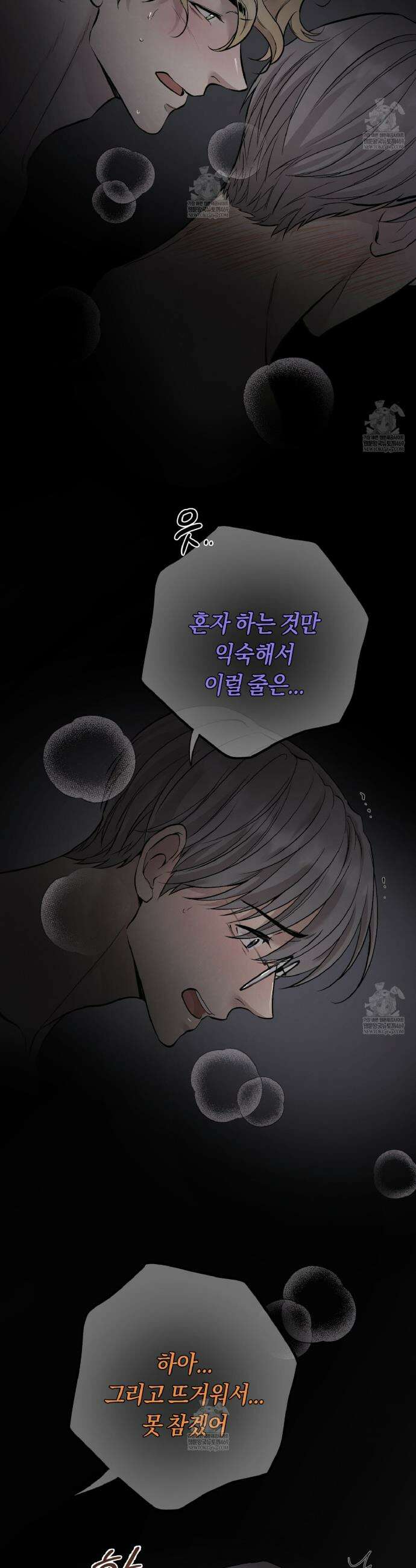 허니베어 82화 2