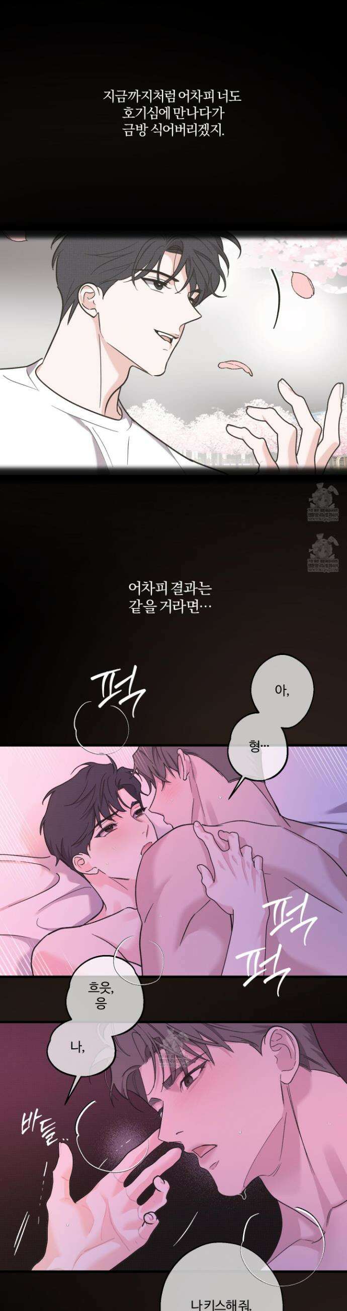임시 연애 경보 38화 29