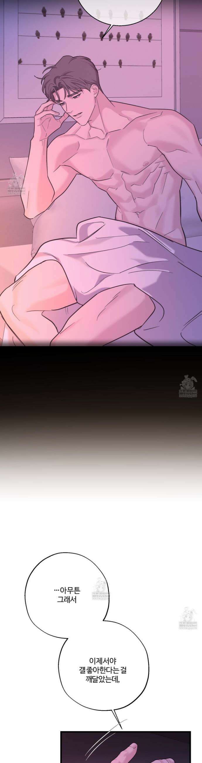 임시 연애 경보 38화 31