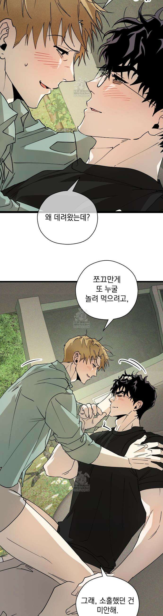 투 마이 발렌타인 (To my valentine) 외전 3화 36
