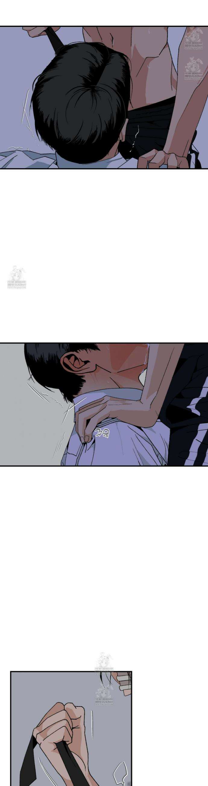 주의 평화 13화 2
