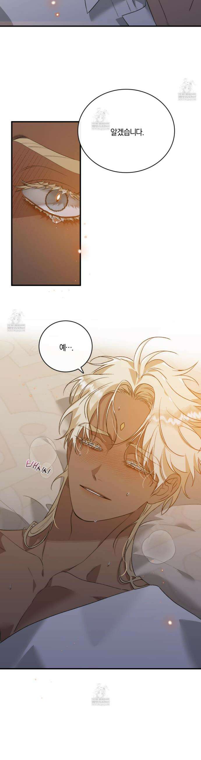 백야의 꽃길 10화 29