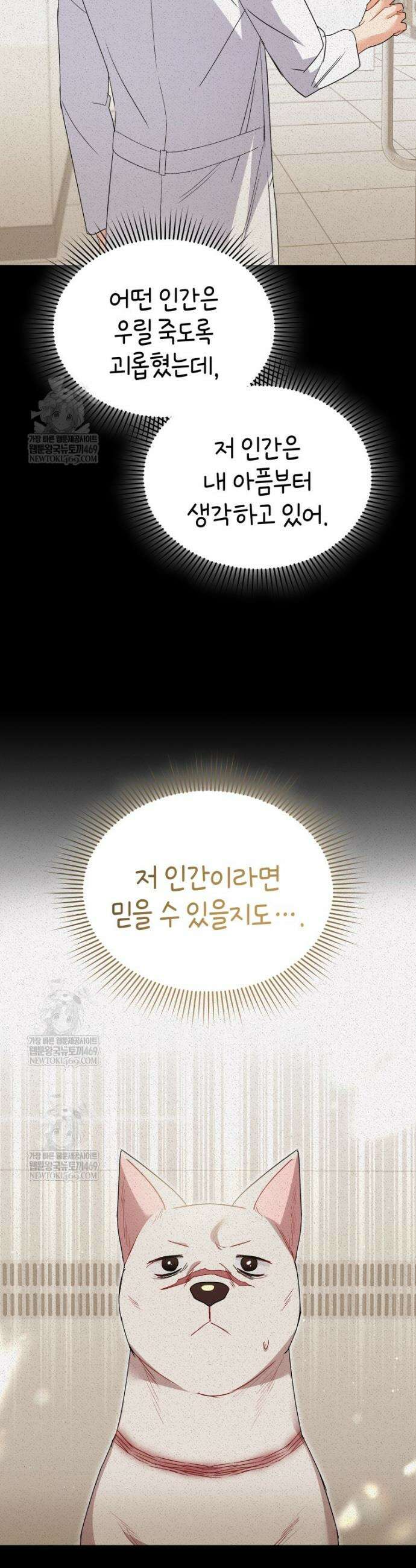 수의사님! 안녕하세요? 117화 8