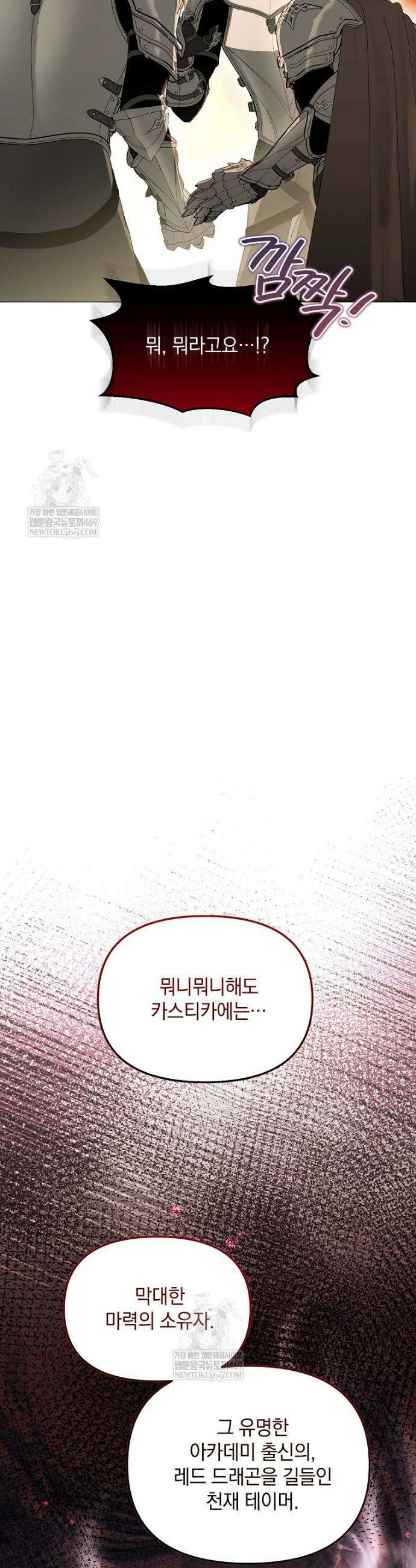아카데미의 천재 테이머 61화 28