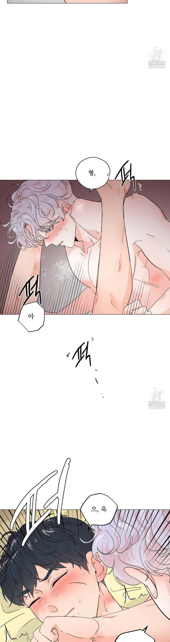 호랑이 생일 떡 16화 2