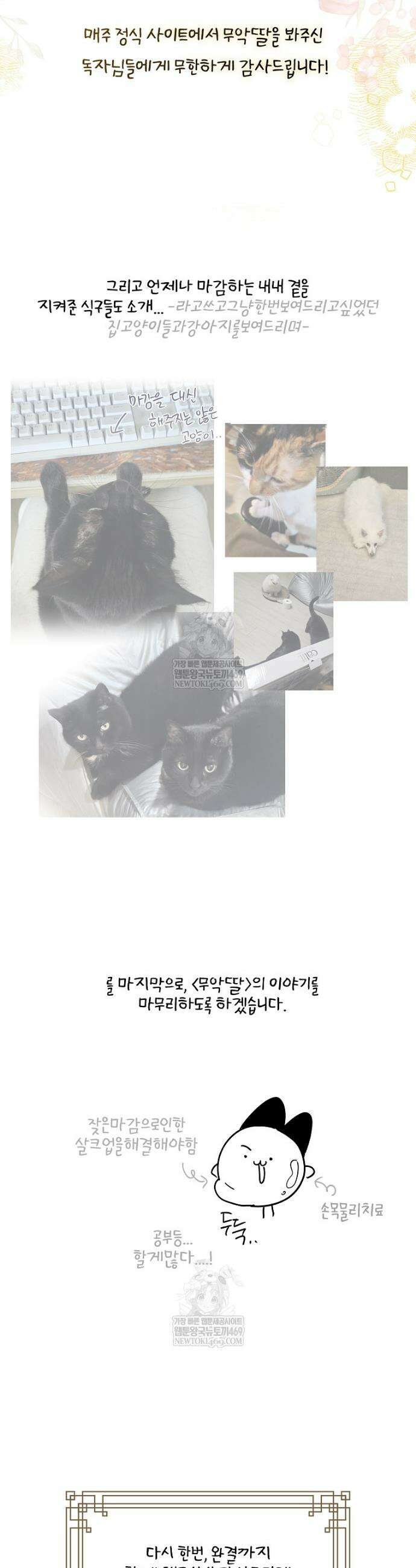 무협지 최고 악당의 귀한 딸입니다 작가 후기 6