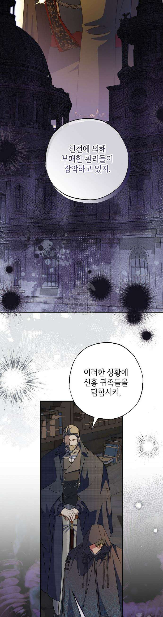 대공가에 입양된 성녀님 84화 8