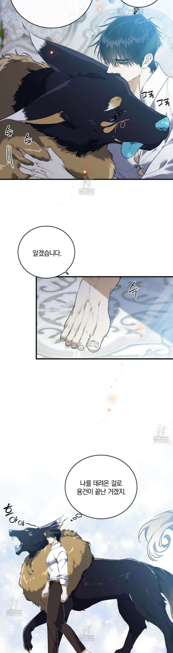 백야의 꽃길 19화 12
