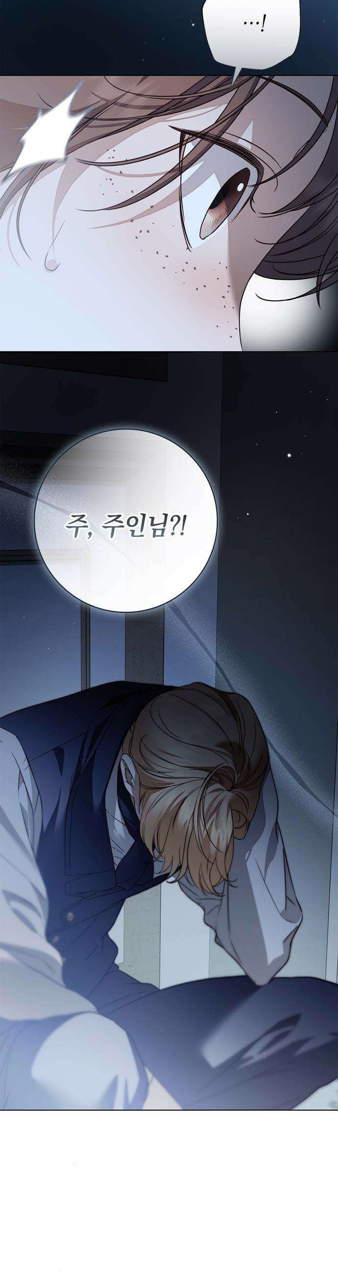 백작가의 비밀스런 시녀님 - 79화 4