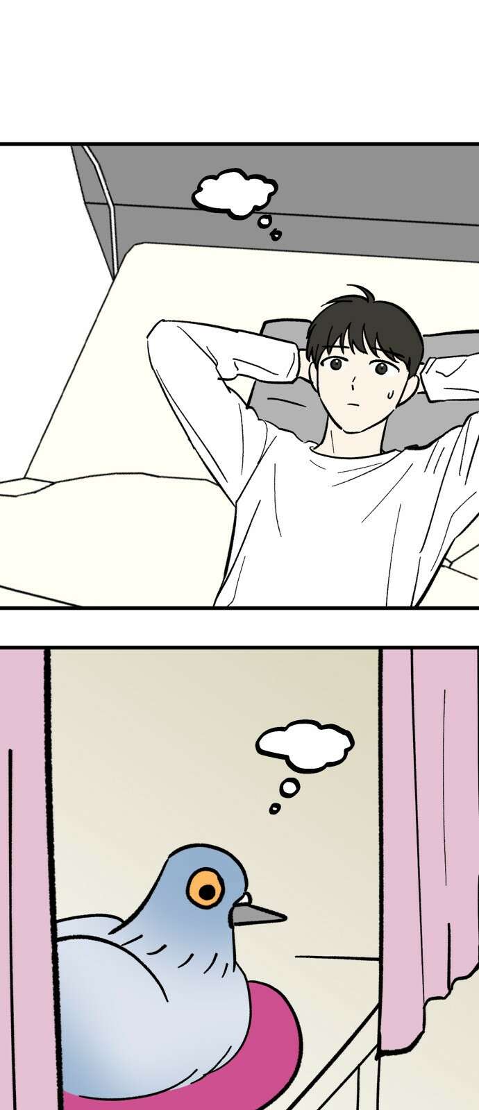 성북구 비둘기 이헌서 - 77화) <이헌서 비둘기 11개년> 1