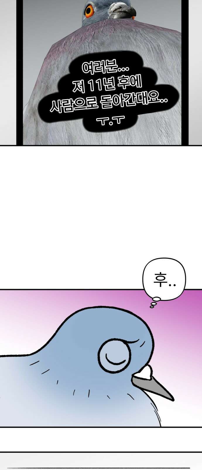 성북구 비둘기 이헌서 - 77화) <이헌서 비둘기 11개년> 4