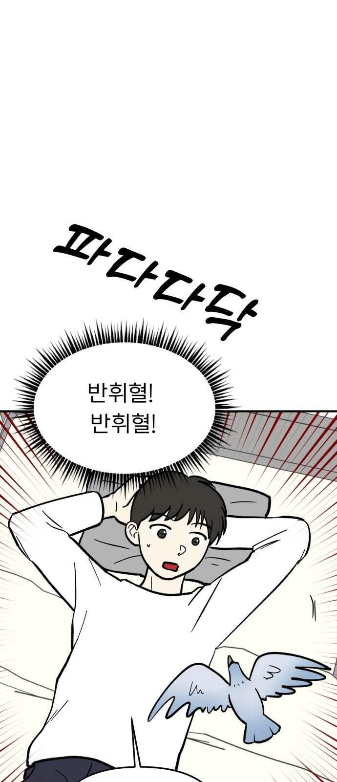 성북구 비둘기 이헌서 - 77화) <이헌서 비둘기 11개년> 8
