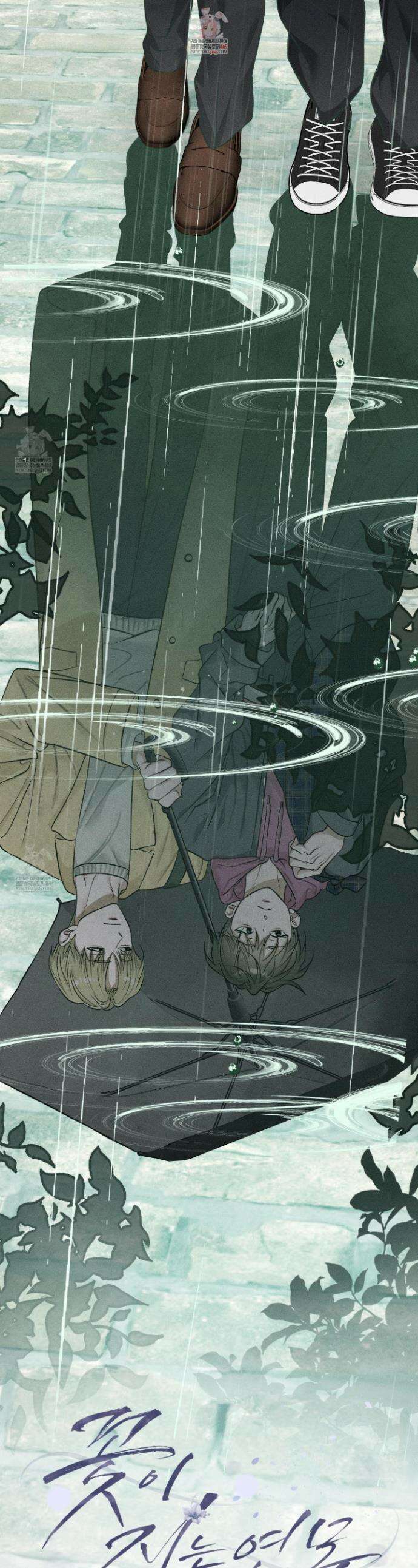 꽃이 지는 연못 73화 1