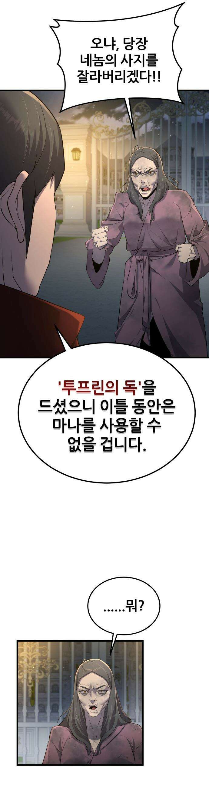 주먹 쓰는 천재 마법사 - 63화 18