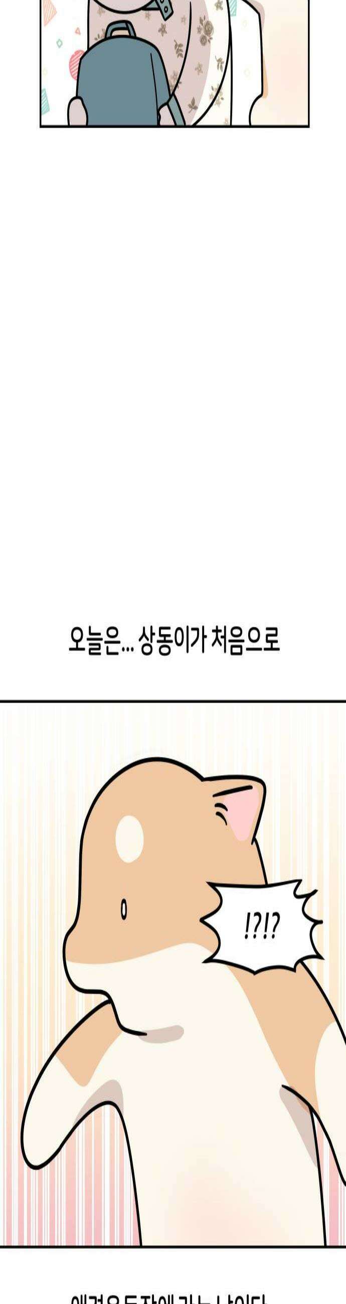 시바, 만만치 않다 88화 강아지 운동장 3