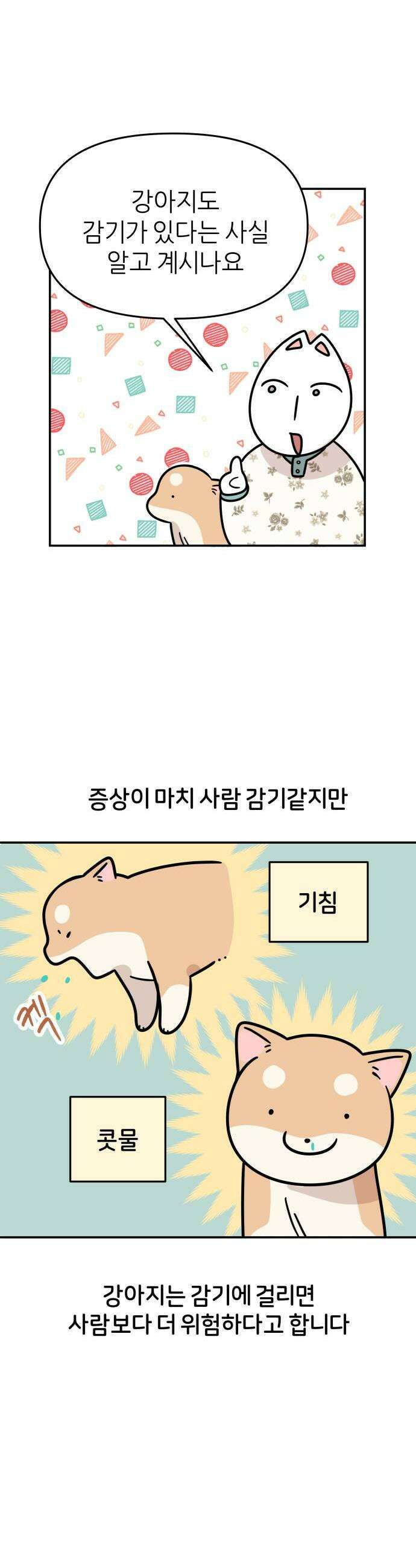 시바, 만만치 않다 89화 상동이의 간호 1