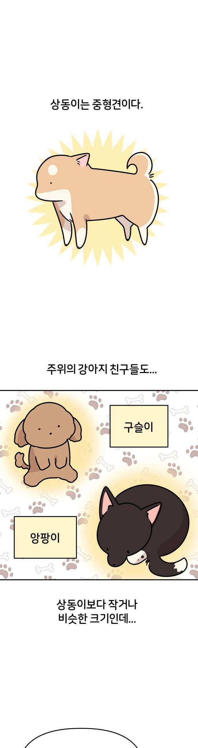 시바, 만만치 않다 92화 뉴페이스 1