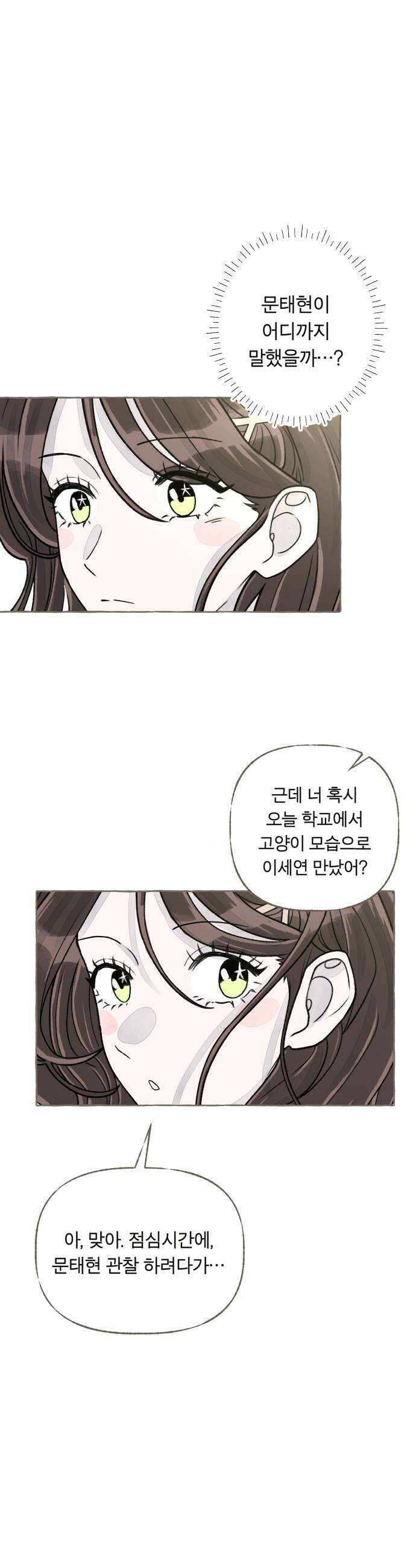 아이캣치유 10 피프티 피프티9913 44