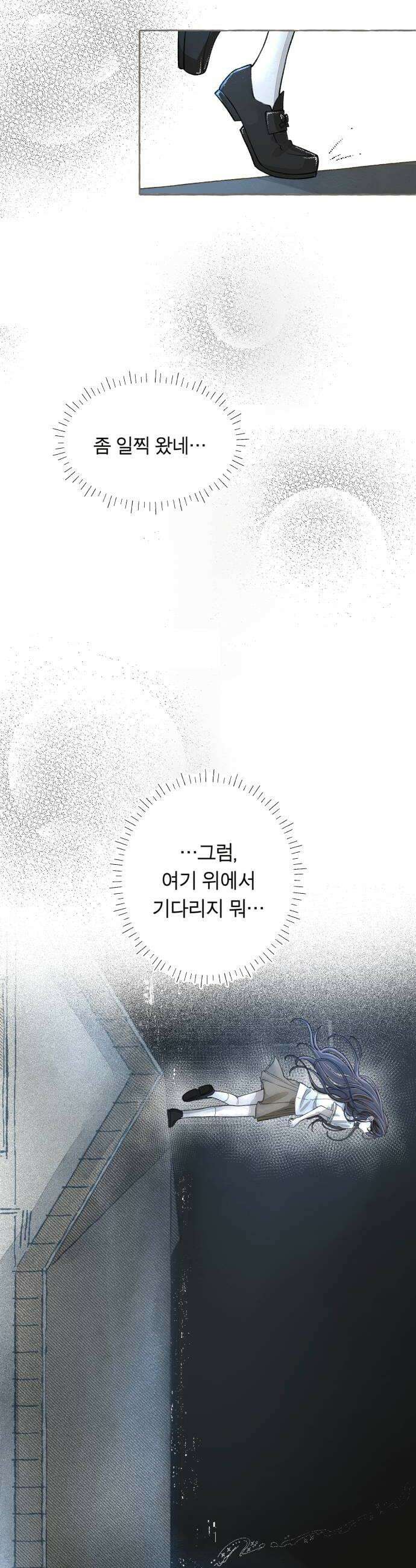 아이캣치유 10 피프티 피프티9913 54