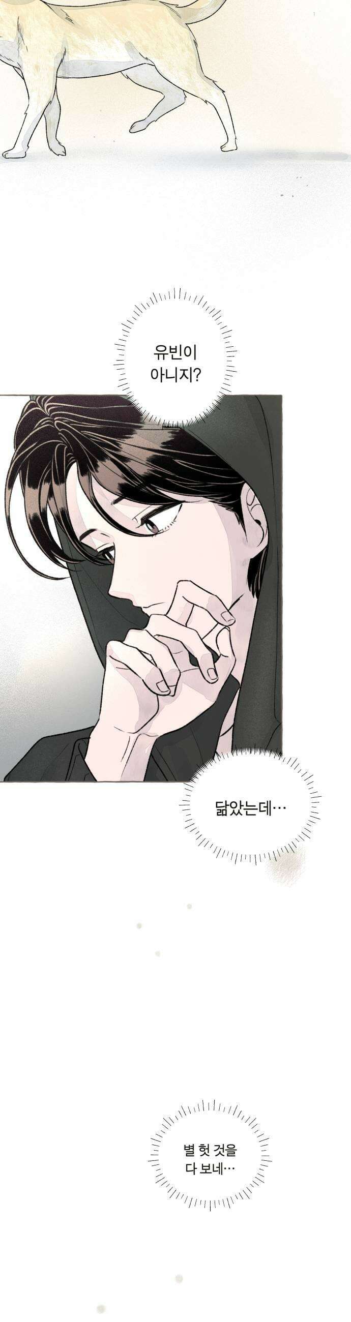 아이캣치유 22 방 안의 코끼리 21
