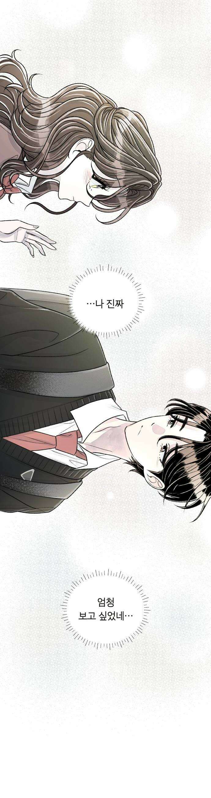 아이캣치유 22 방 안의 코끼리 52