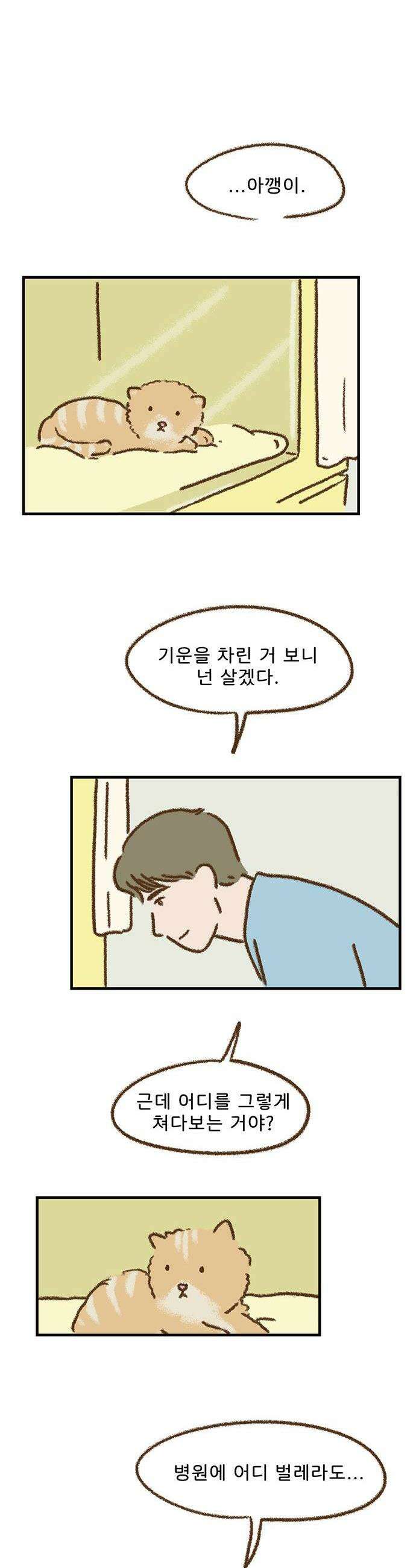 추억이 찾아오는 가게 81 추억 여든하나 16