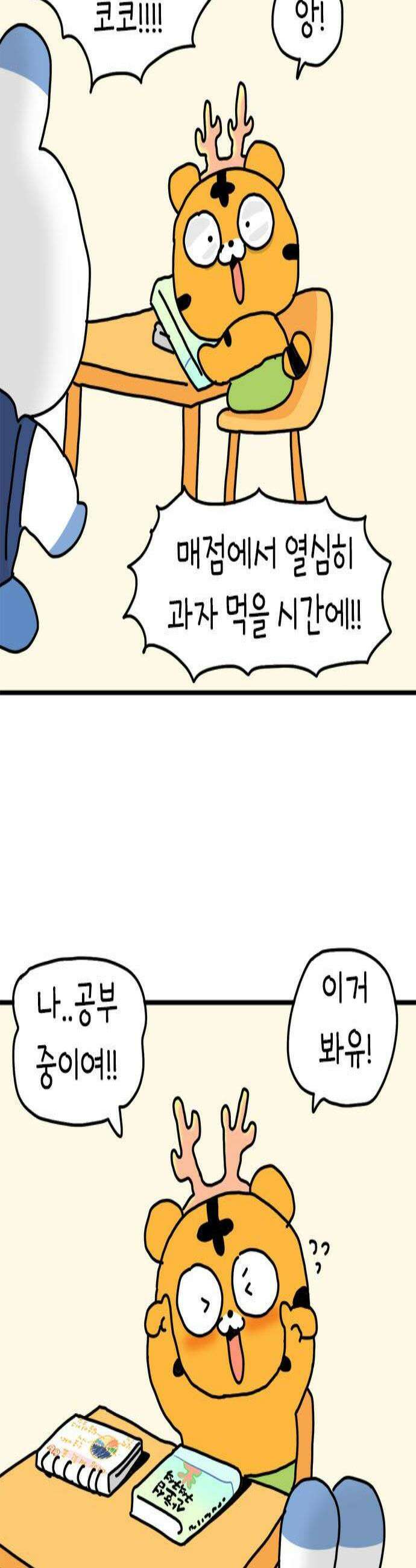 소심한 호랭이 코코 81화 코코의 엄마 3