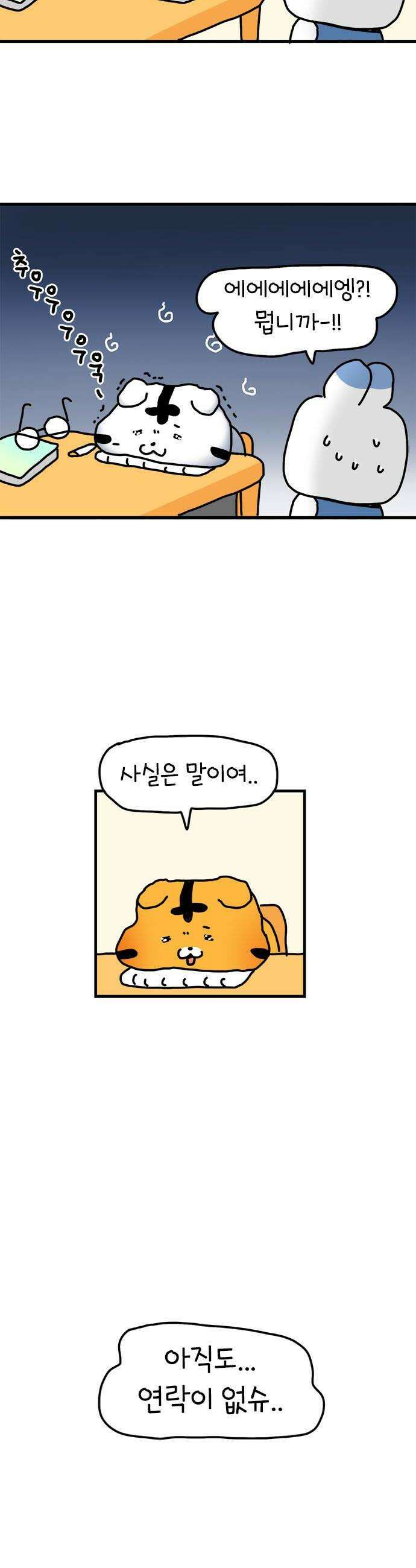 소심한 호랭이 코코 81화 코코의 엄마 6