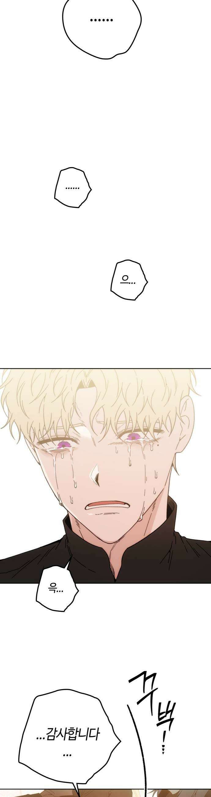 미드우트 184화  의외의 방향 27
