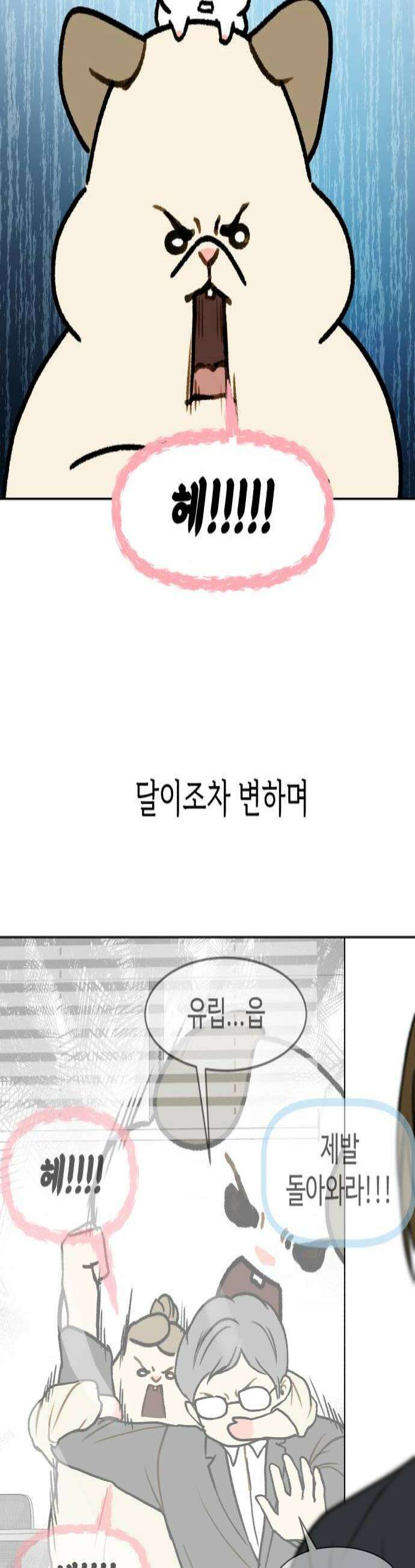 옹달샘 프로젝트 49화 검거 완료 4