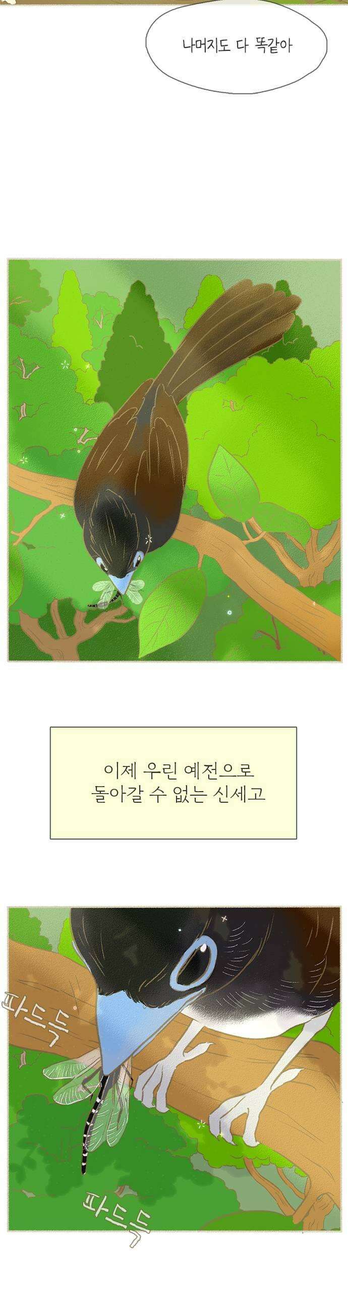 비밀복식클럽 34화 시한부 클럽활동6 17