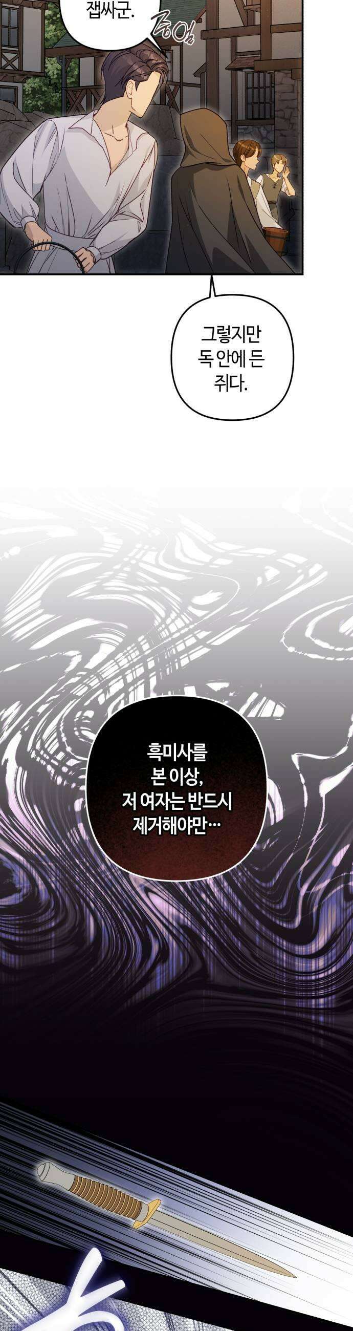 마녀의 눈물은 독이 된다 26화 9