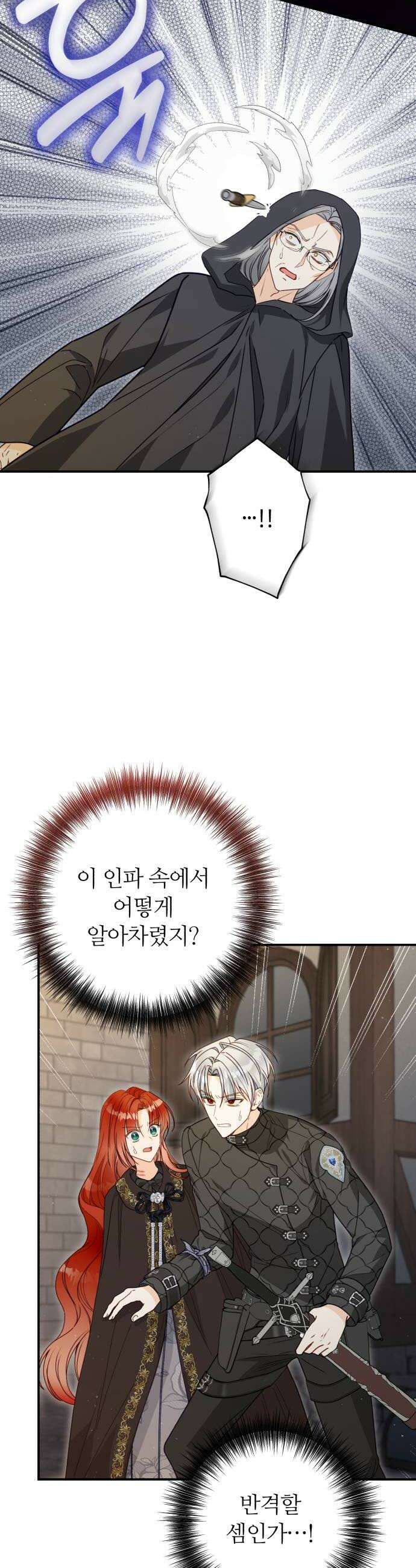 마녀의 눈물은 독이 된다 26화 10
