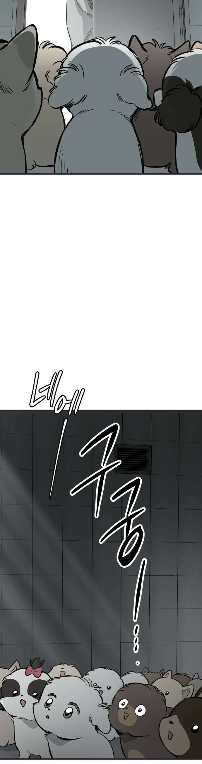 개같이 탈출 시즌2 19화 43