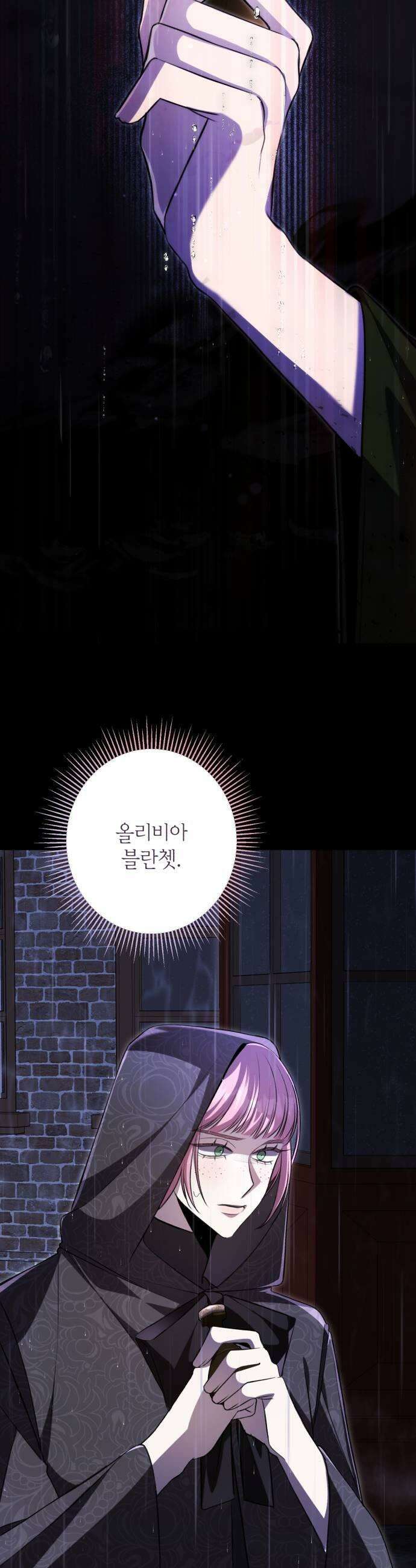 불완전한 이혼의 결말 48화 27